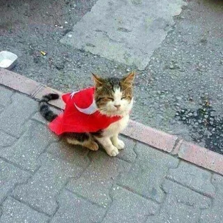İbadullah
